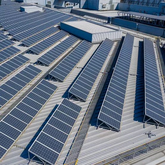 Where can I get some?